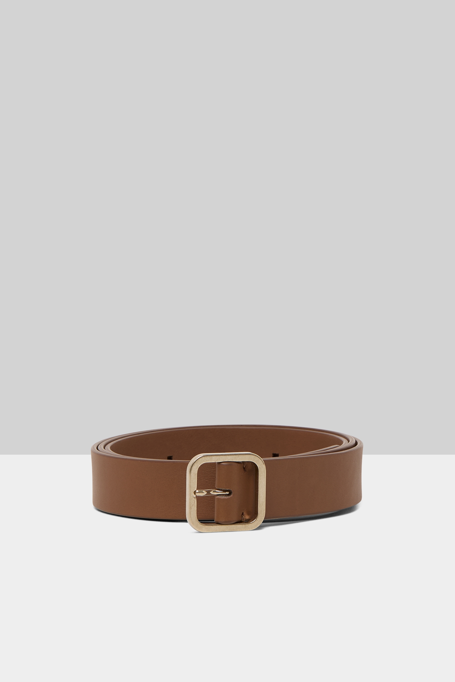 Quadra Basalt Belt