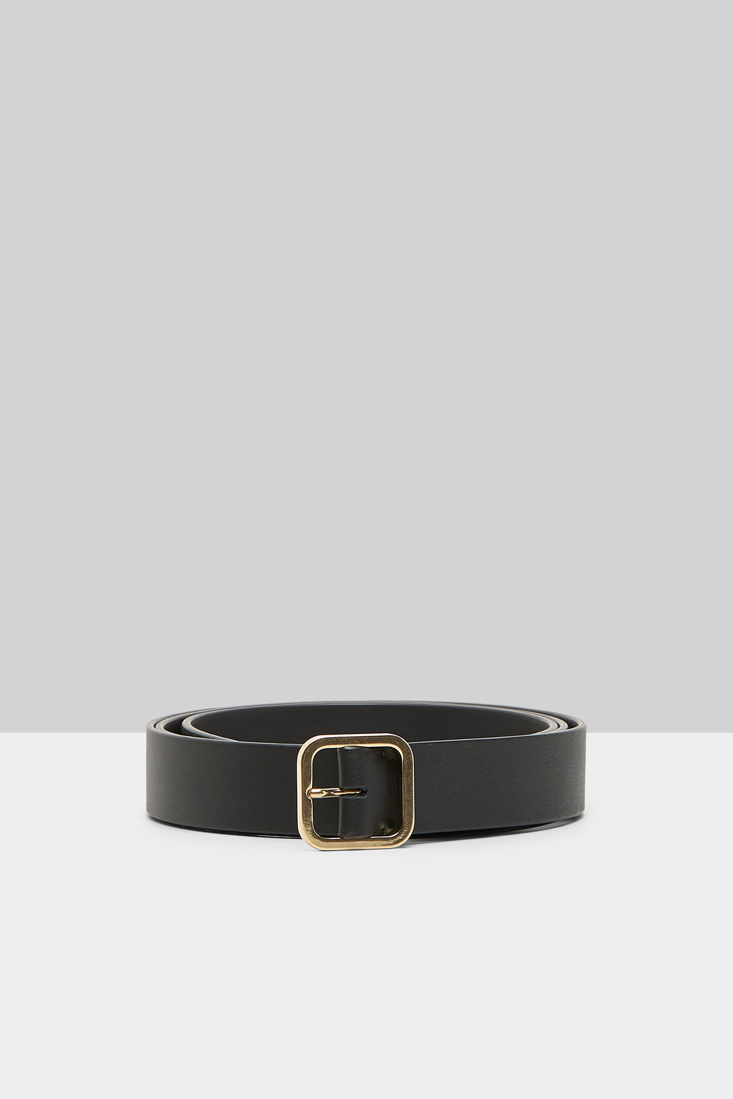 Quadra Black Belt