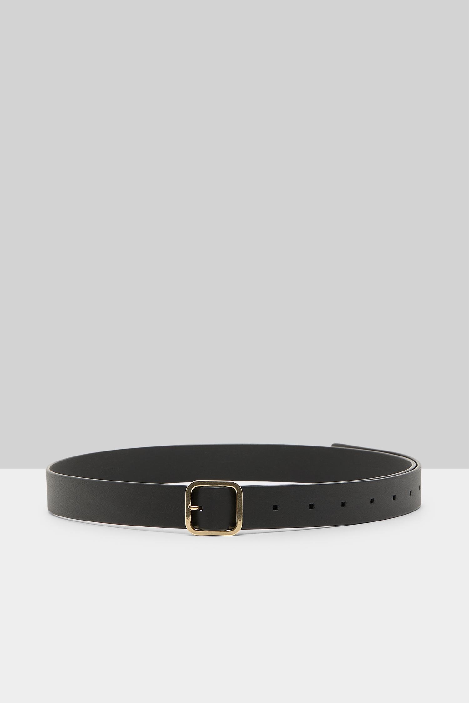 Quadra Black Belt