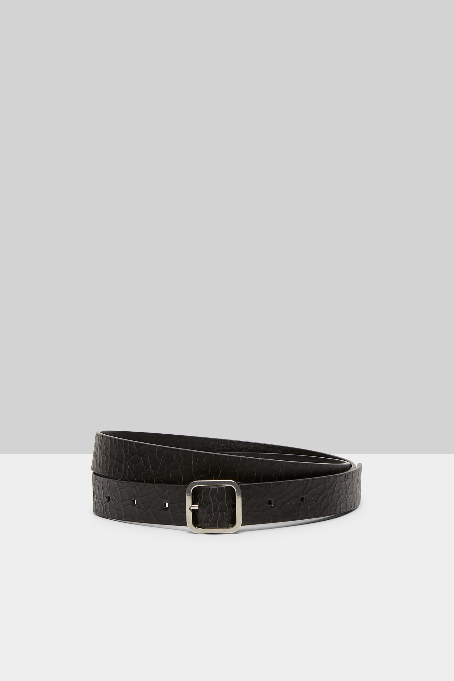 Quadra Blackboard Belt