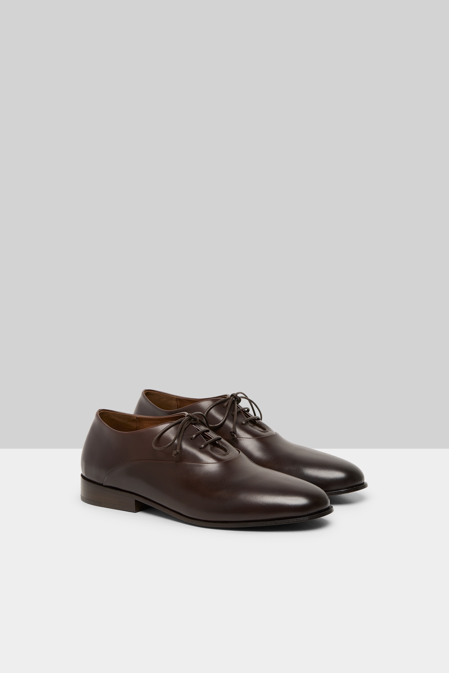 Codina Chocolate Leather Derby Shoes