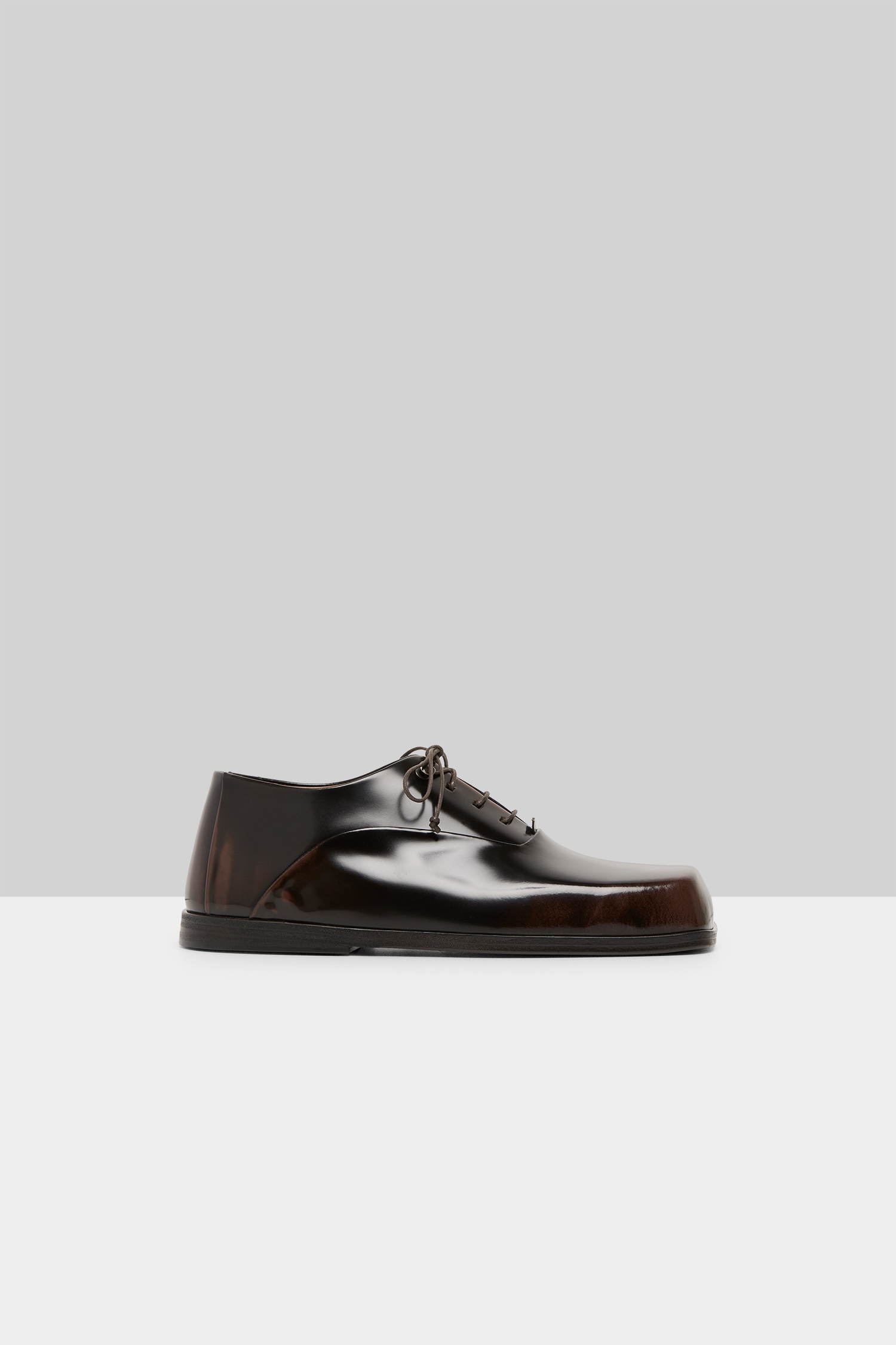 Musetto Dark Brown-Brown Leather Derby Shoes