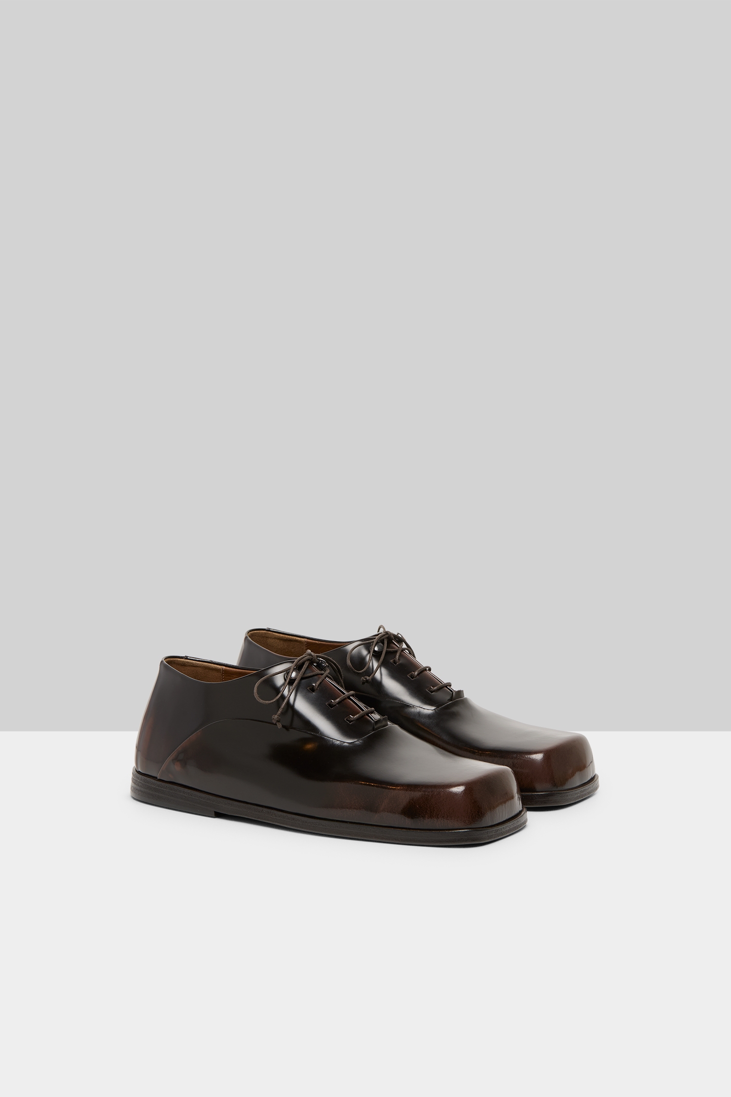 Musetto Dark Brown-Brown Leather Derby Shoes