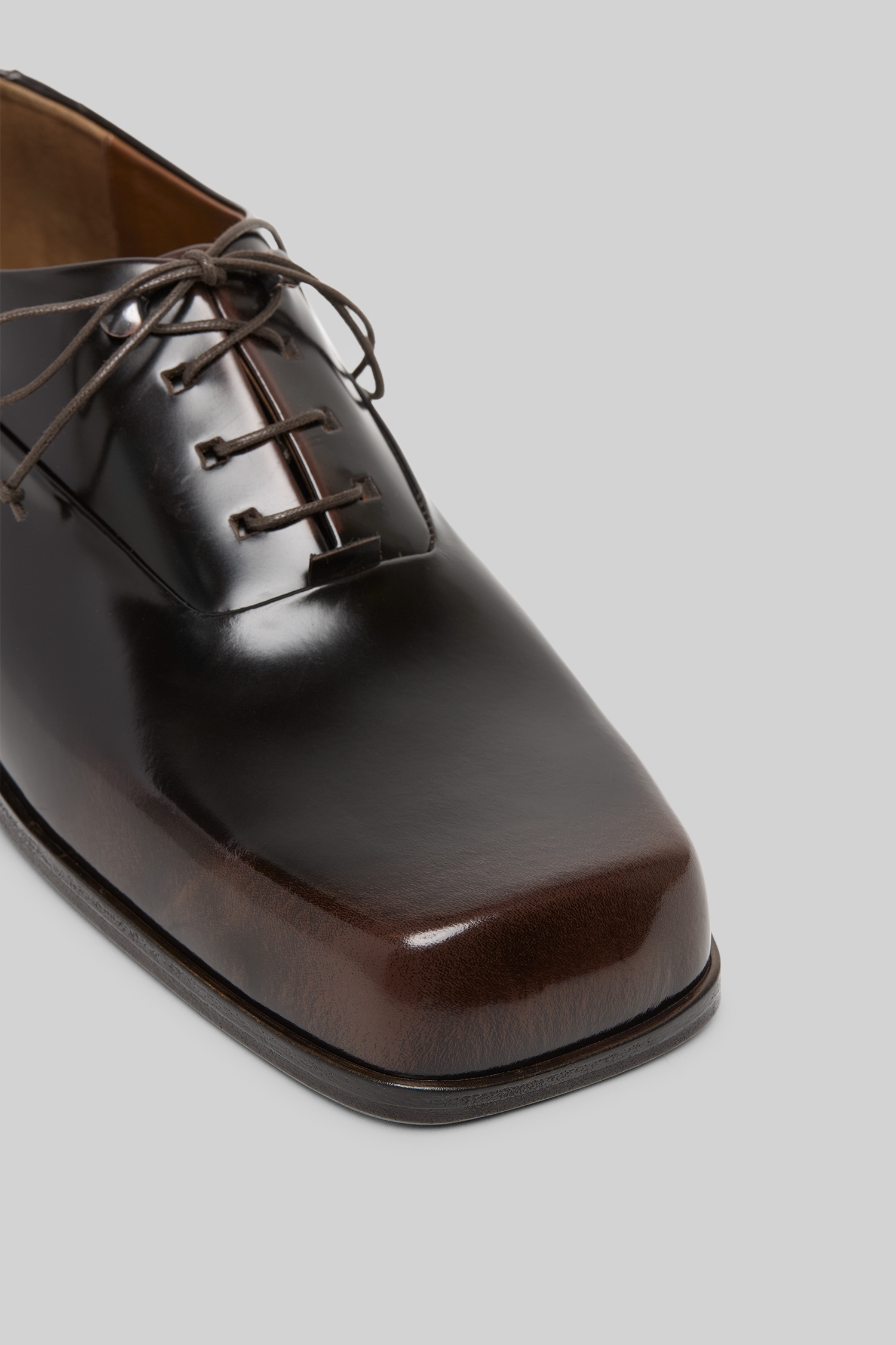 Musetto Dark Brown-Brown Leather Derby Shoes