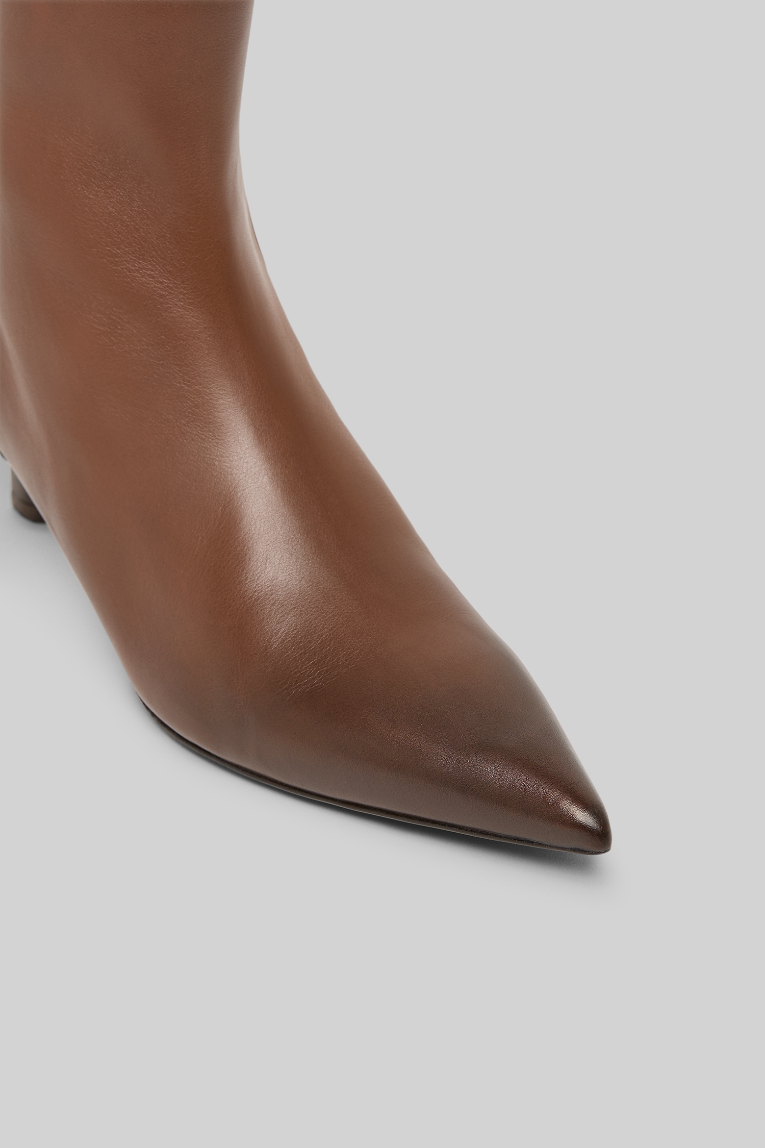Aculeo Basalt Leather Ankle Boots